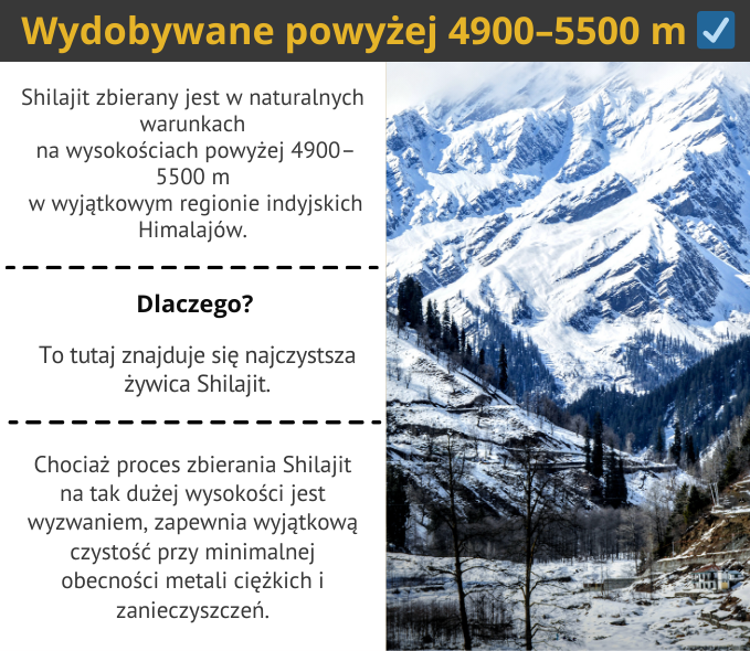 Shilajit | Naturalna Żywica Mineralna z Himalajów (1+1 Za Darmo)